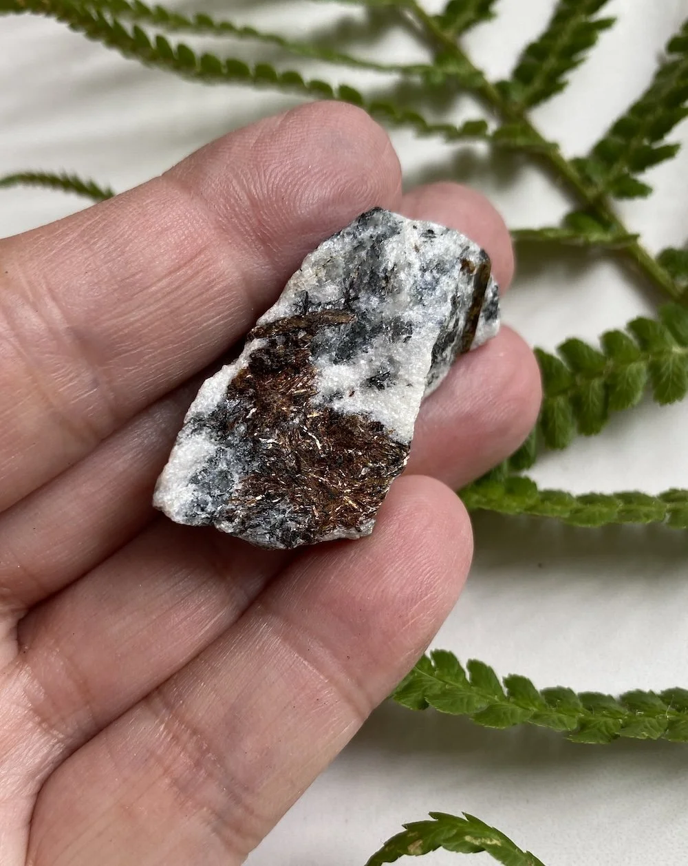 Astrophyllite4.JPG