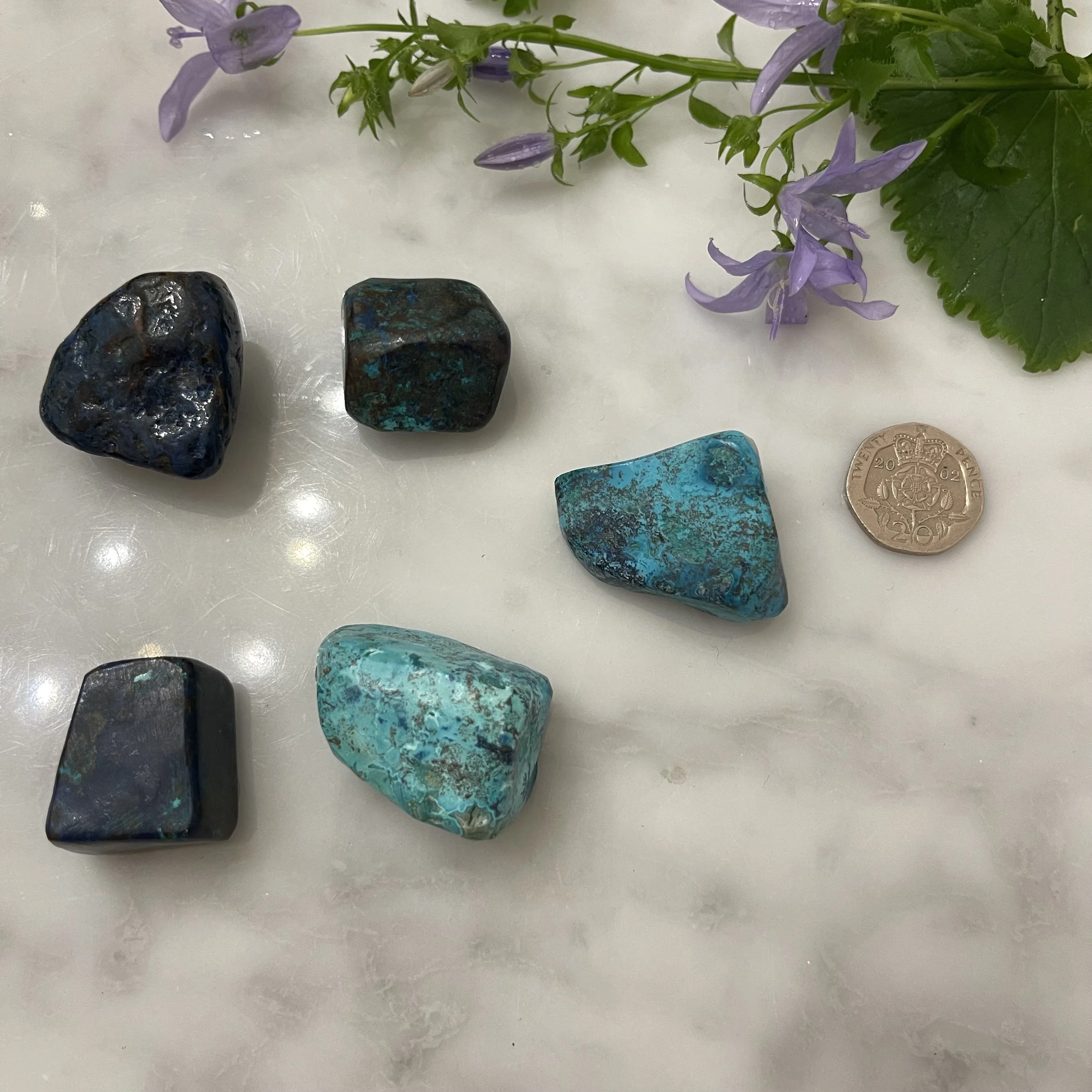 Shattukite Chrysocolla Pebbles