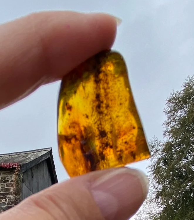 1+Amber+5.09G4.png