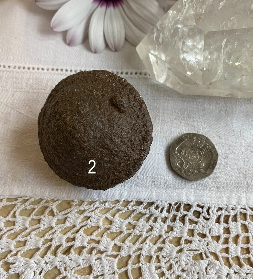 Mochi 22.JPG