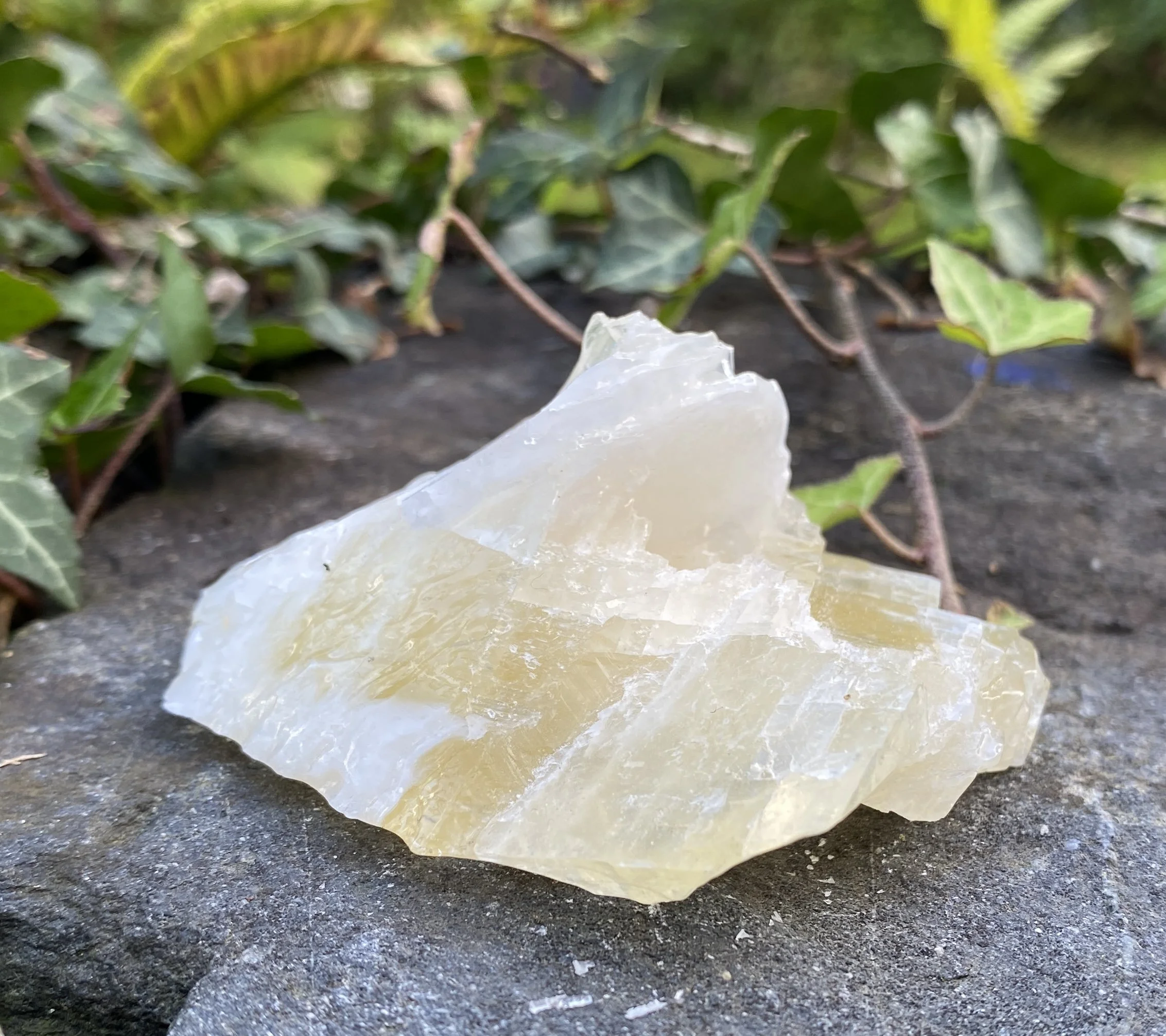 ZZ Angel Wing Calcite11.JPG