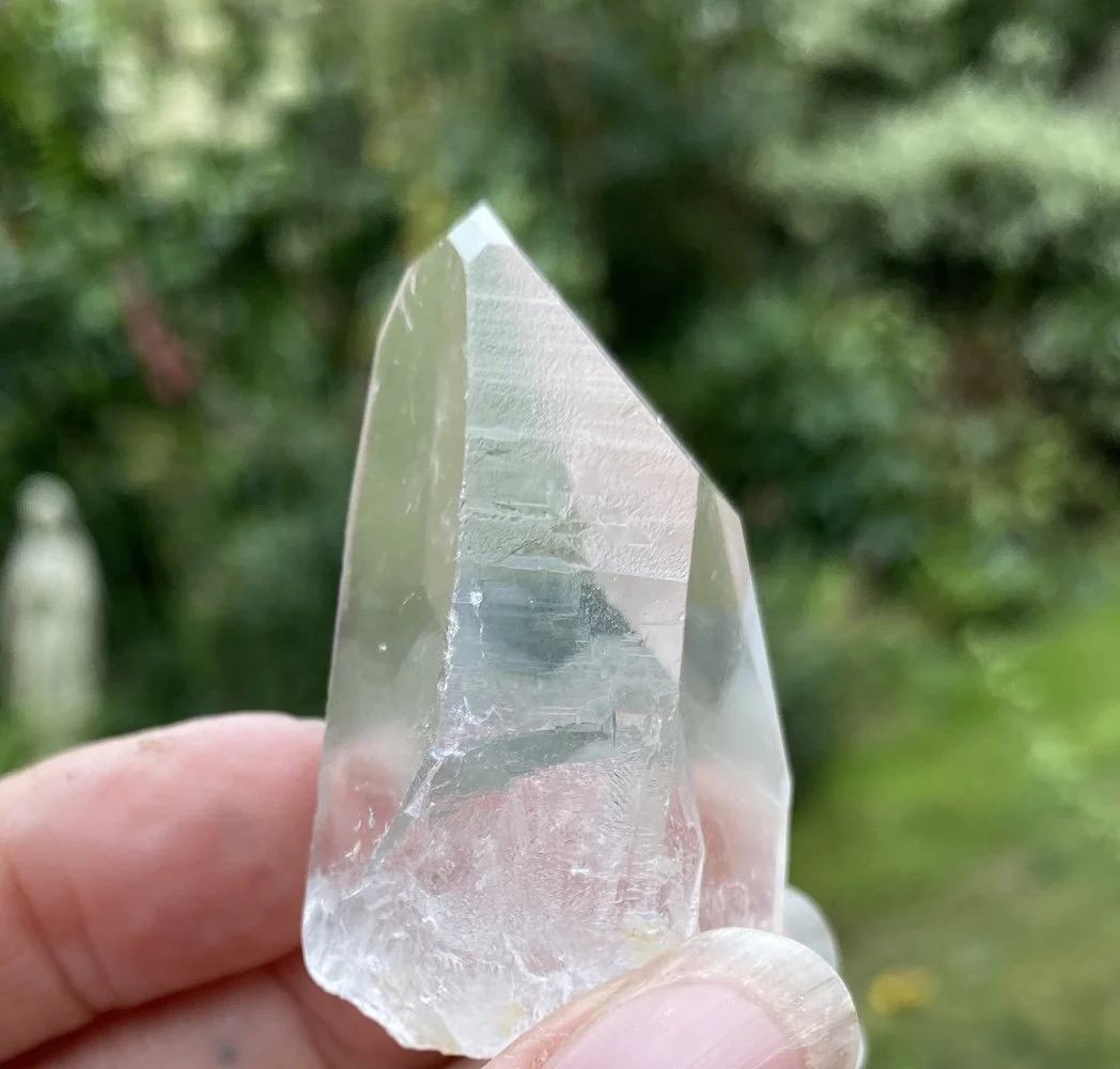 Lemurian £1517.JPG