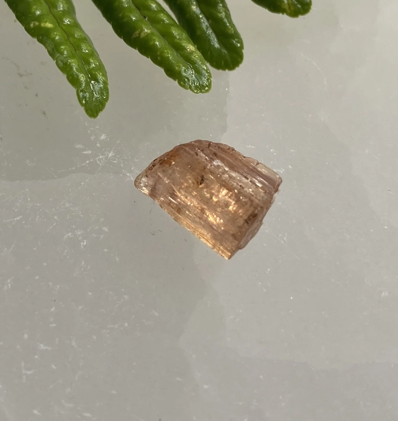 Topaz 91.JPG
