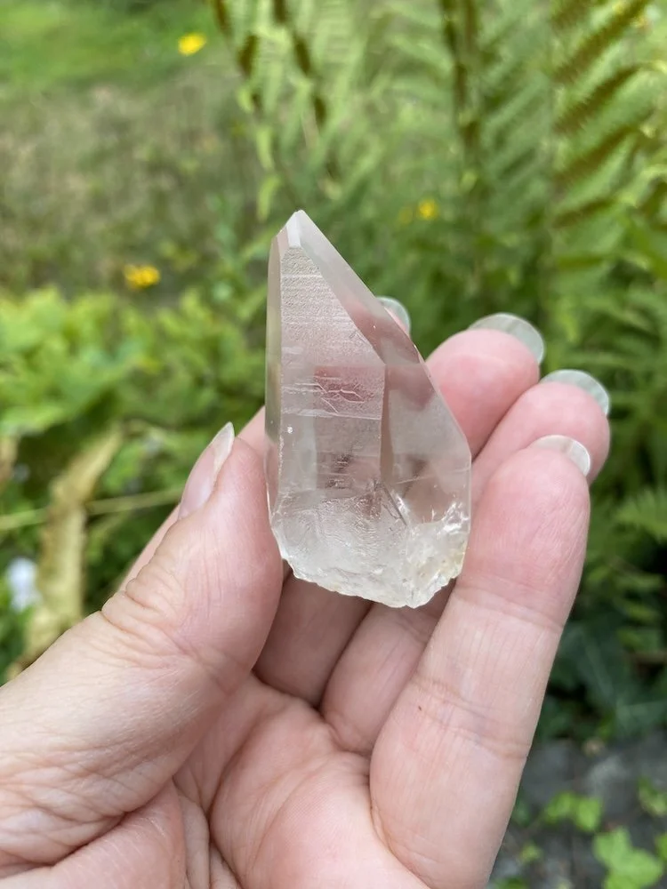 Lemurian £157.JPG