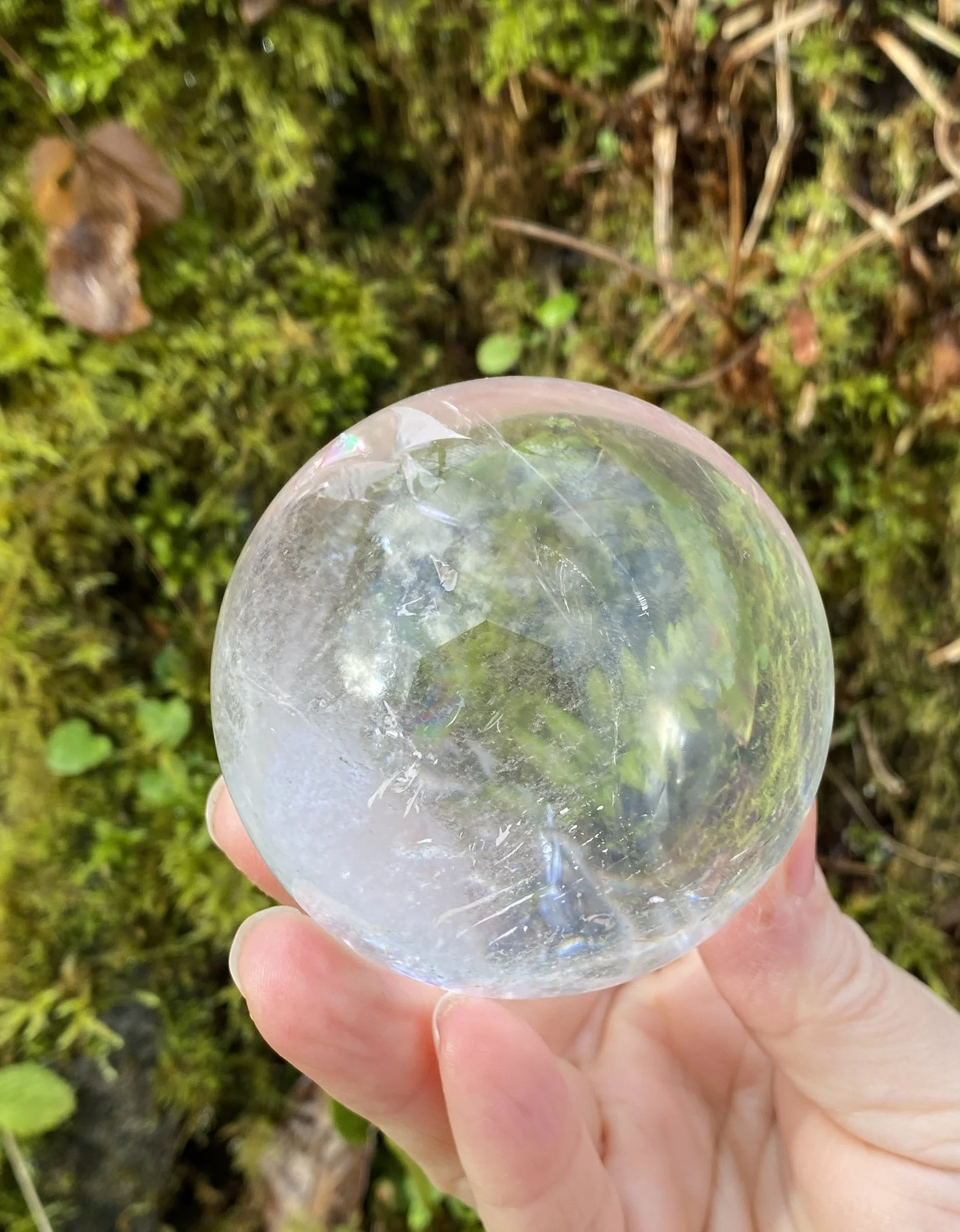 Lemurian 5A £2804.JPG