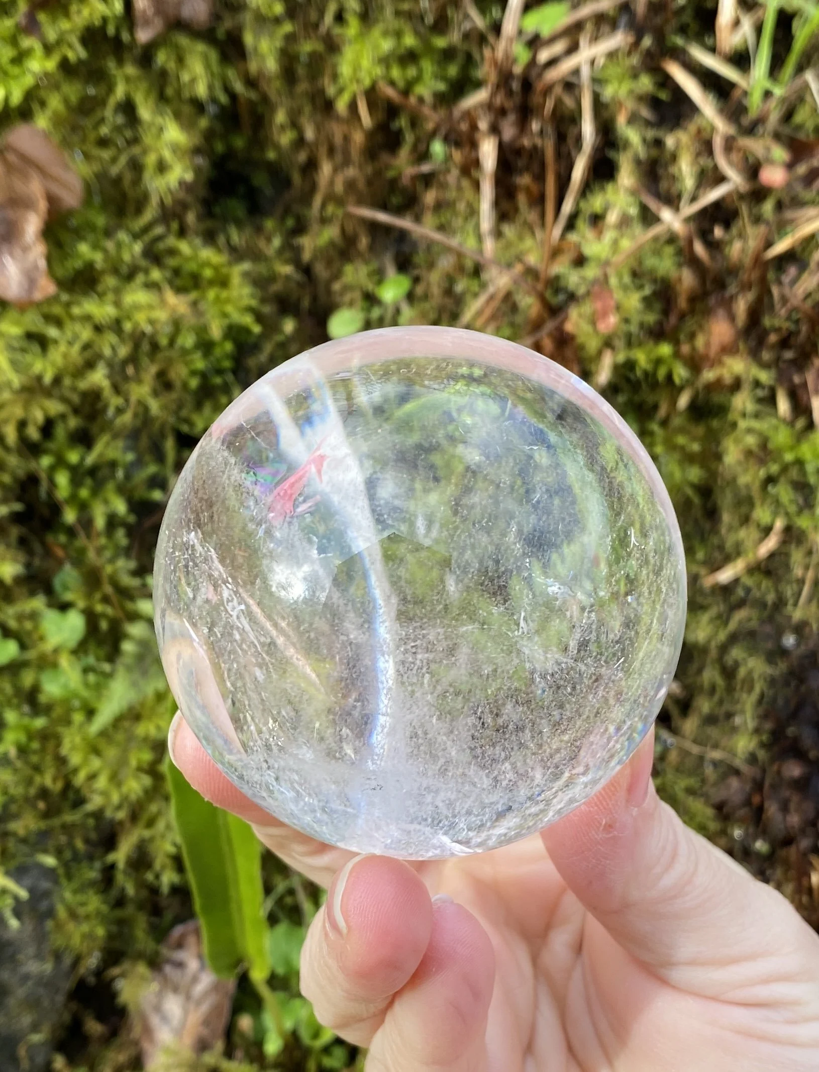 Lemurian 5A £2805.JPG