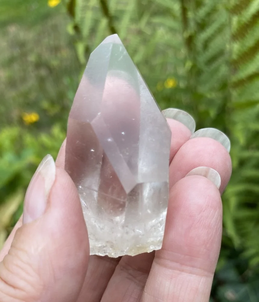 Lemurian £1510.JPG
