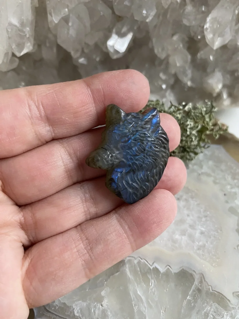 Labradorite Wolf4.JPG