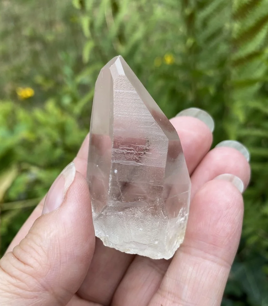 Lemurian £158.JPG