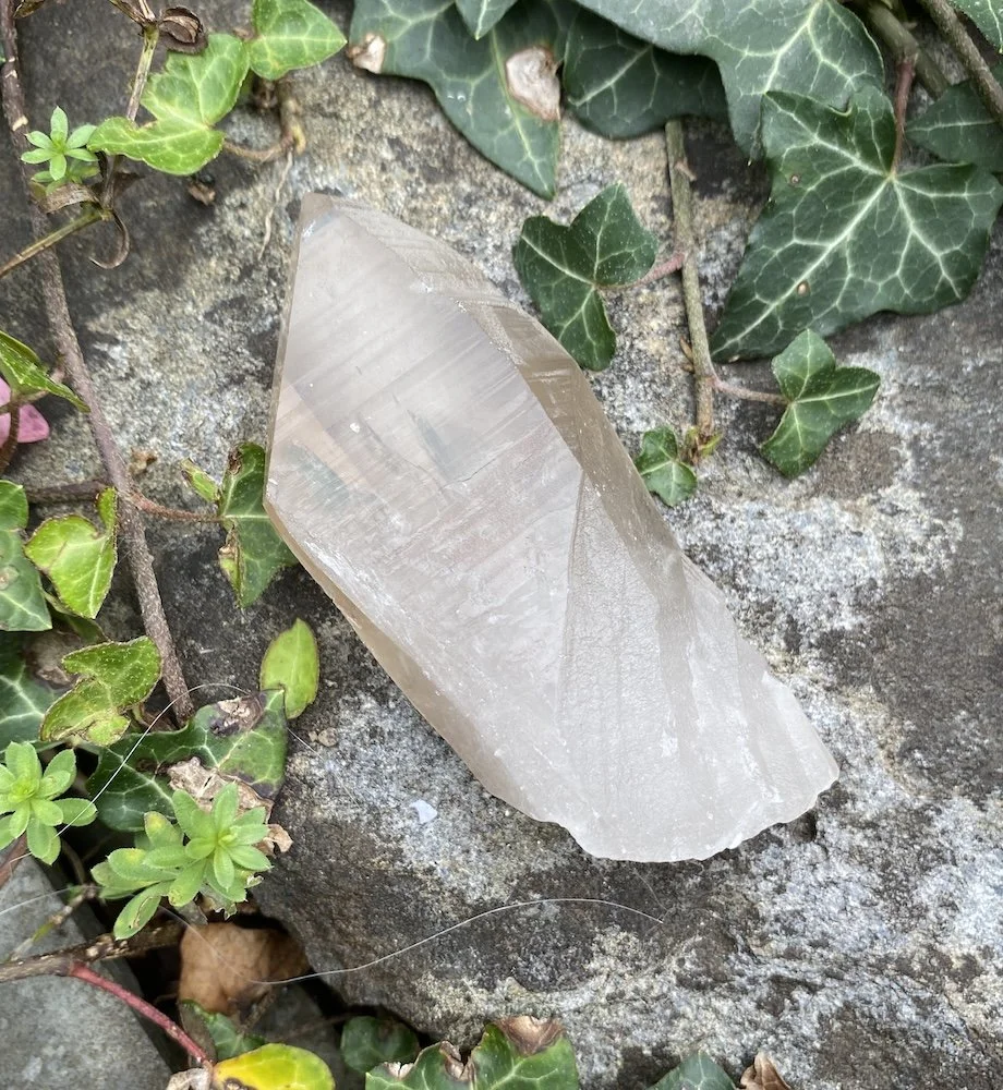 Lemurian D1 £324.JPG