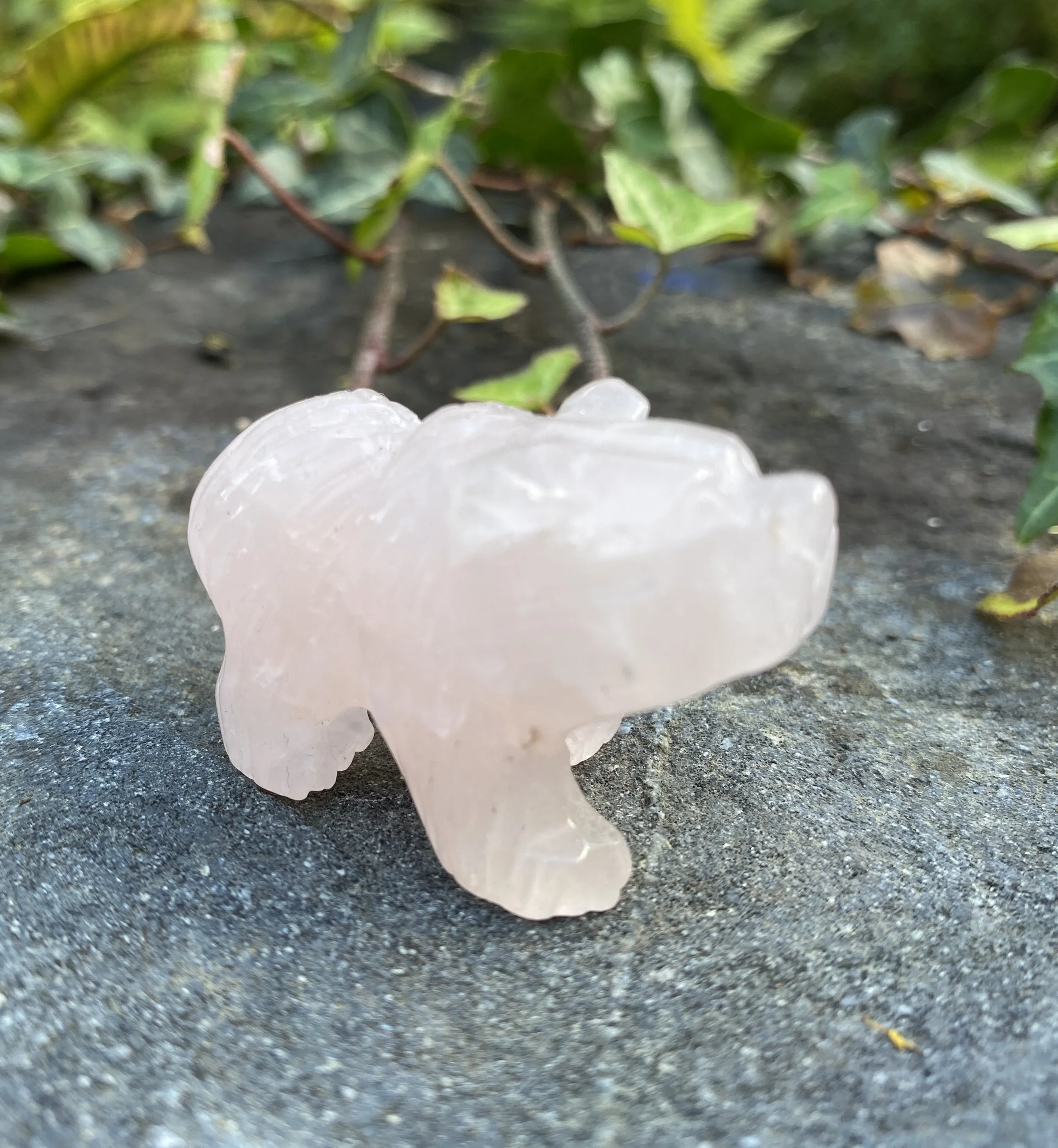 ZZ Rose Quartz Bear2.JPG