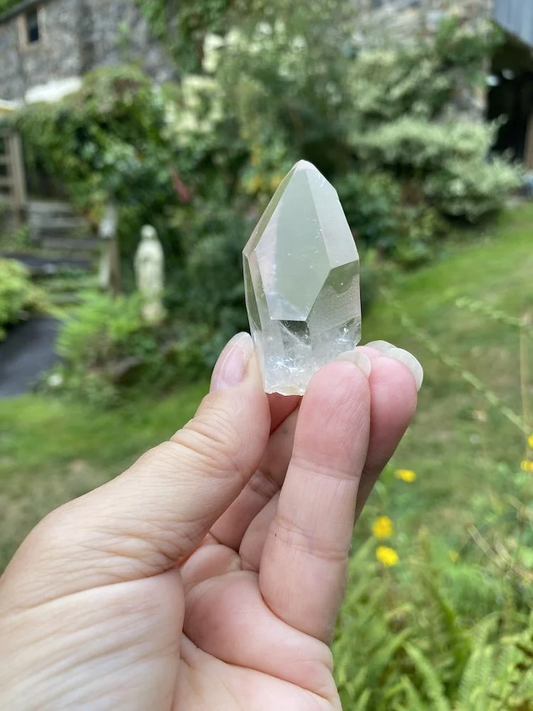Lemurian £1515.JPG