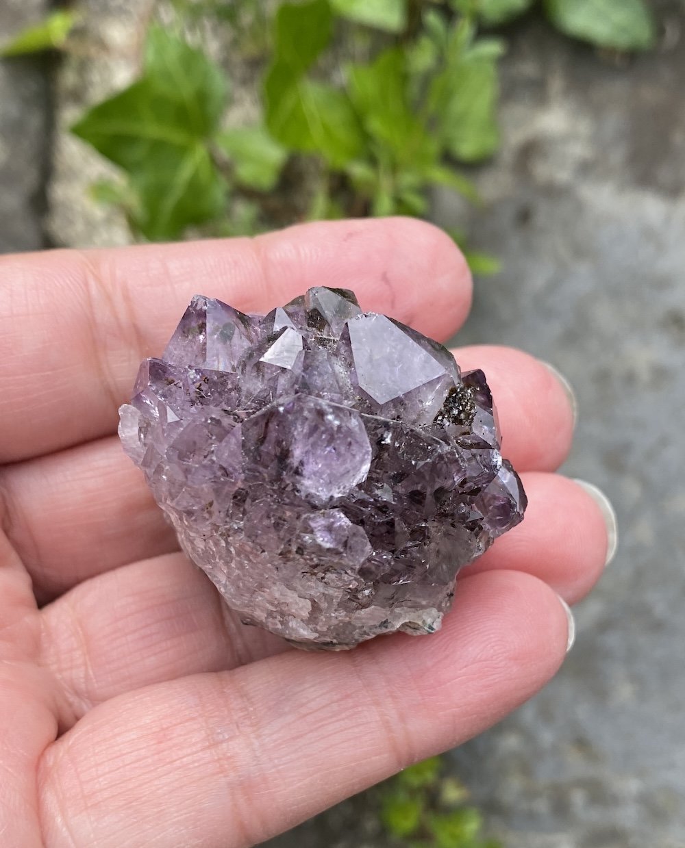 Amethyst cluster little round one5.JPG