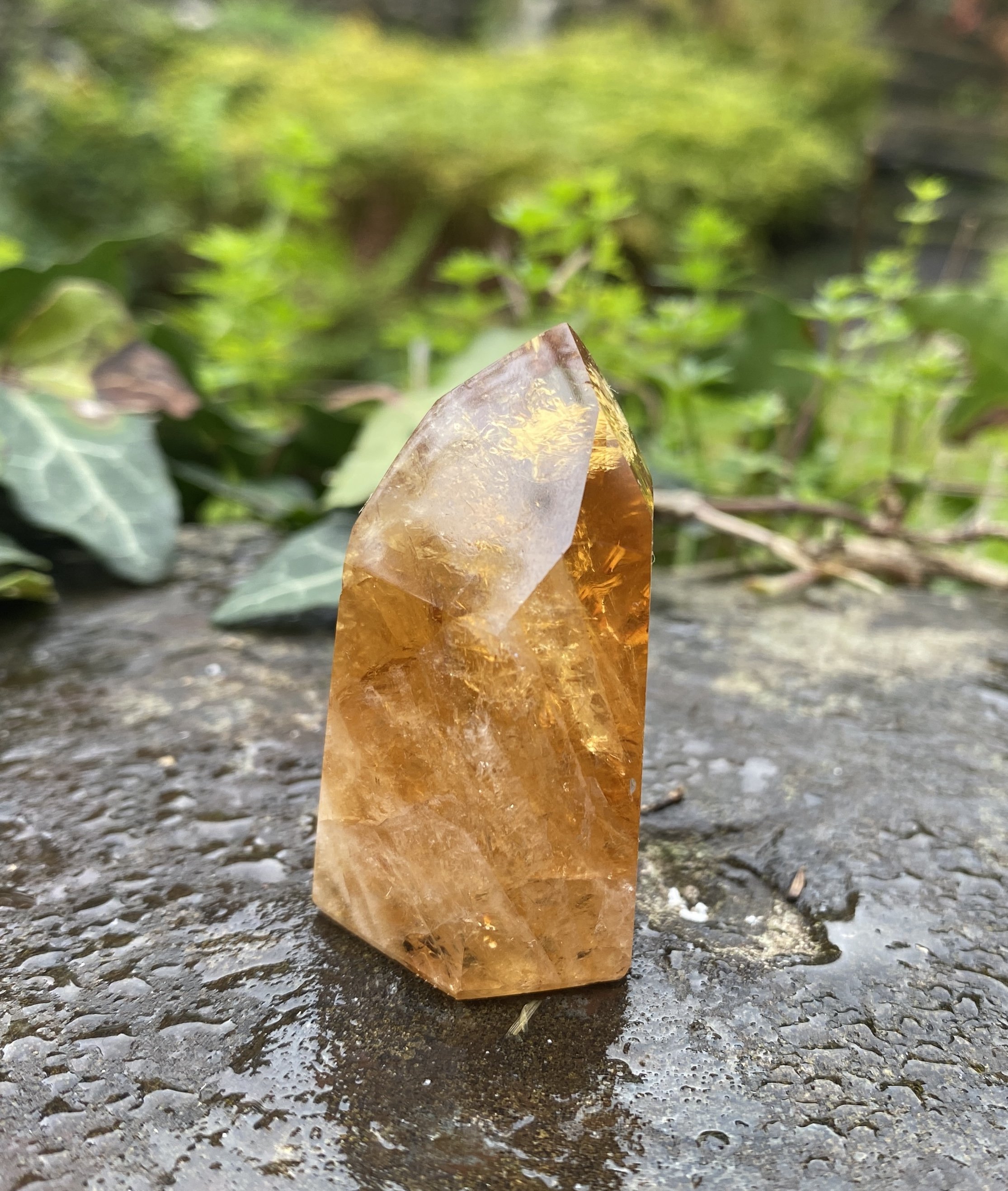 @2 Citrine standing 34g2.JPG