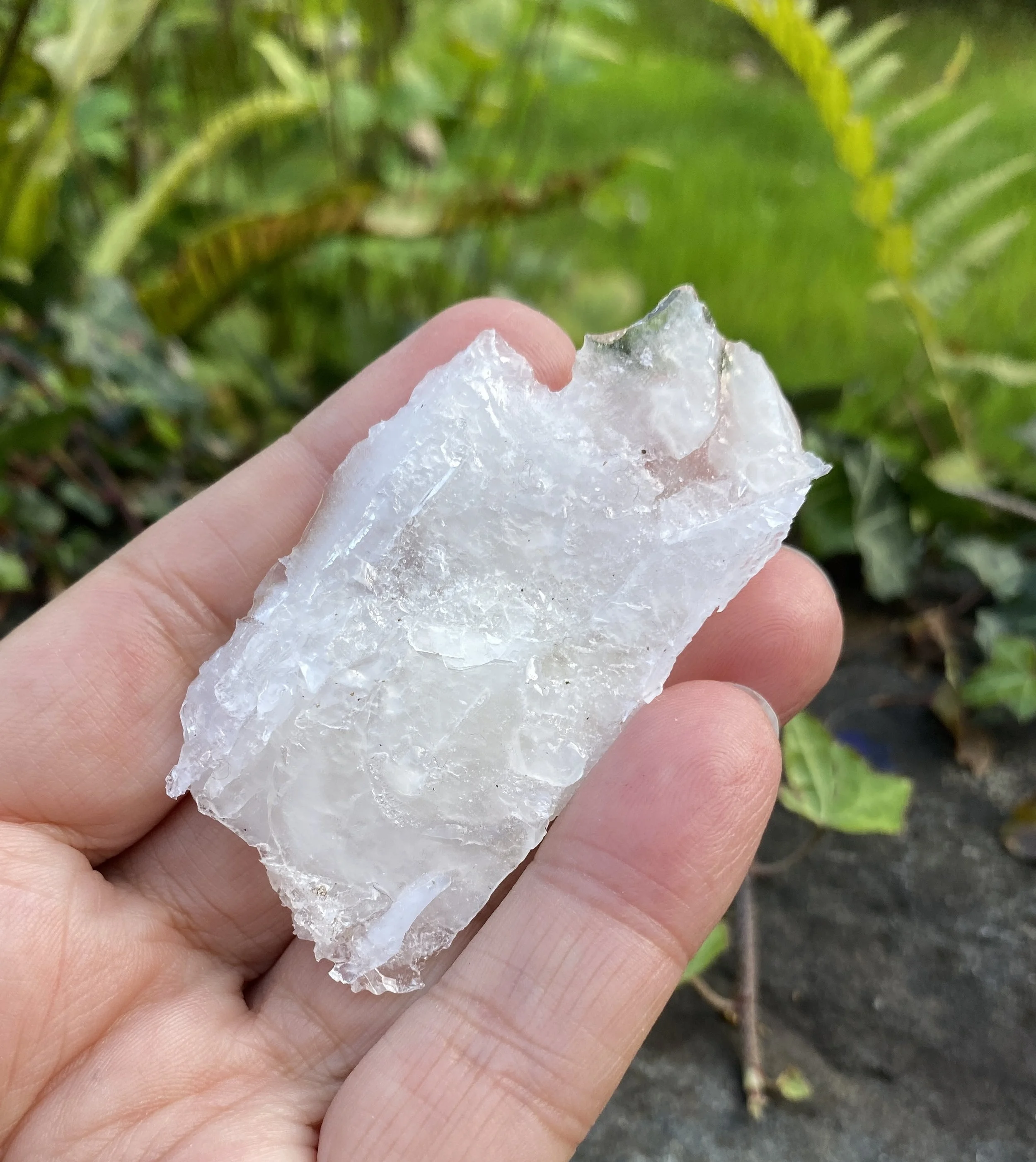 ZZ Angel Wing Calcite8.JPG