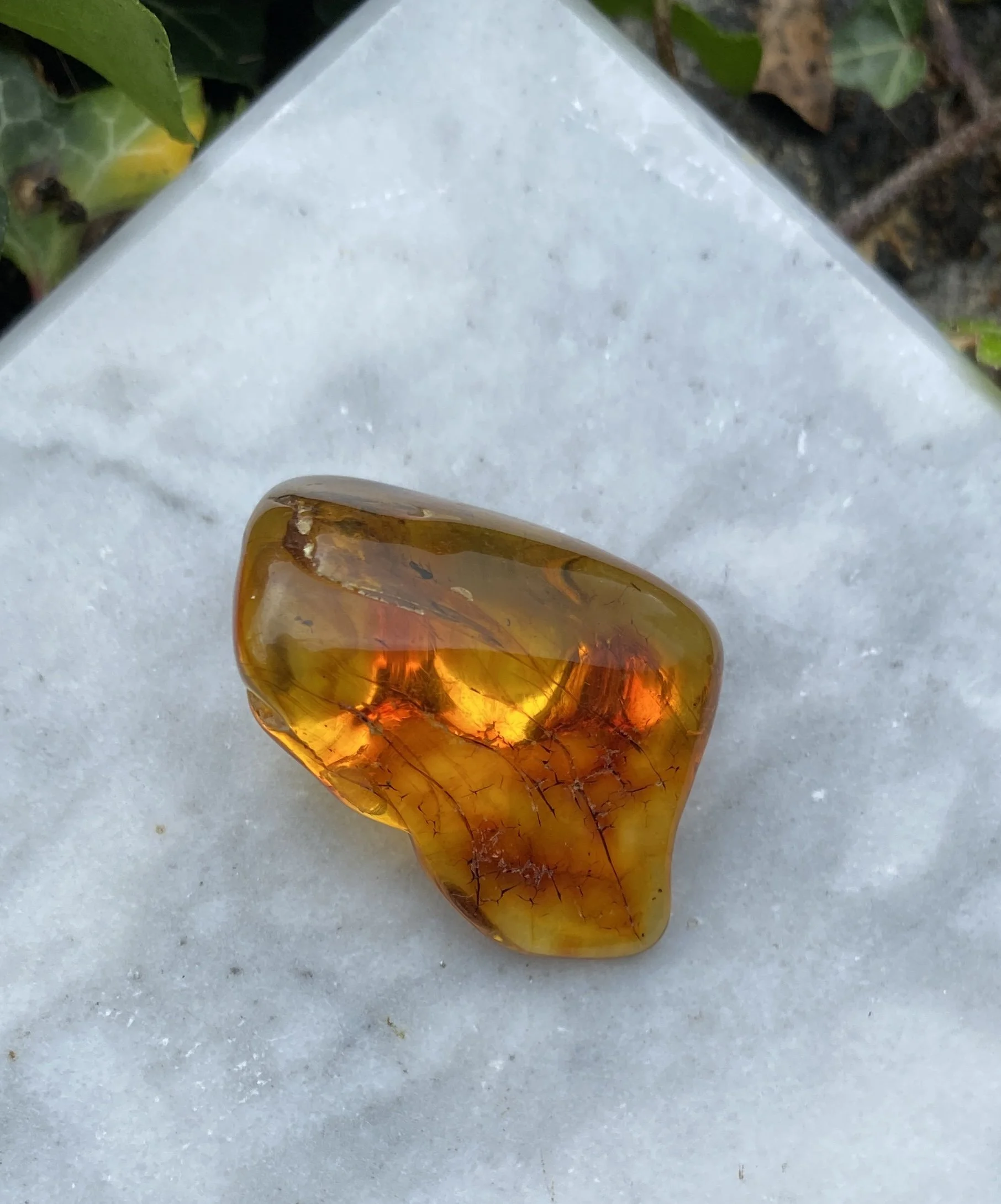 1 Amber 6G1.JPG