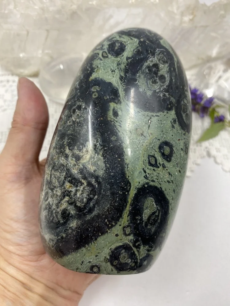 Kambaba Jesper10.JPG