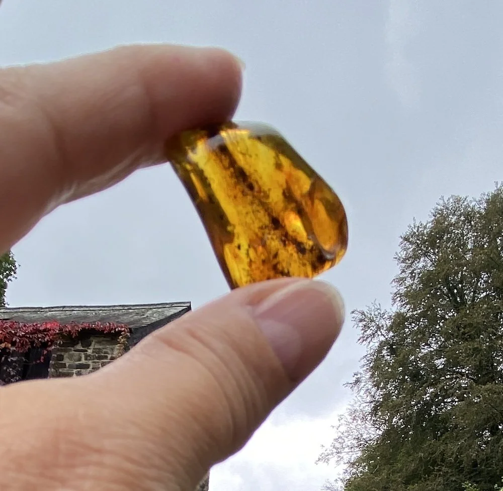 1 Amber 5.09G5.JPG