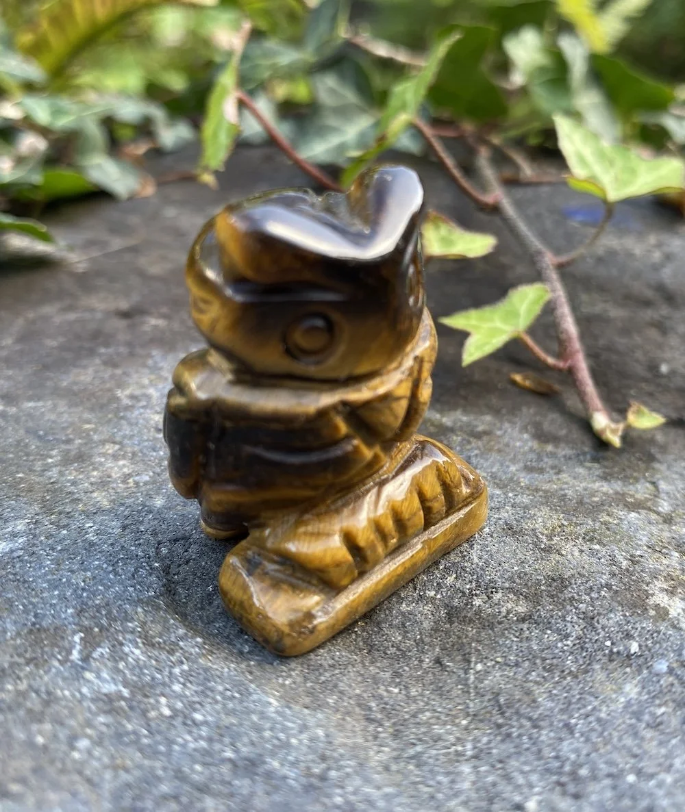 ZZ Tigers Eye Owl2.JPG