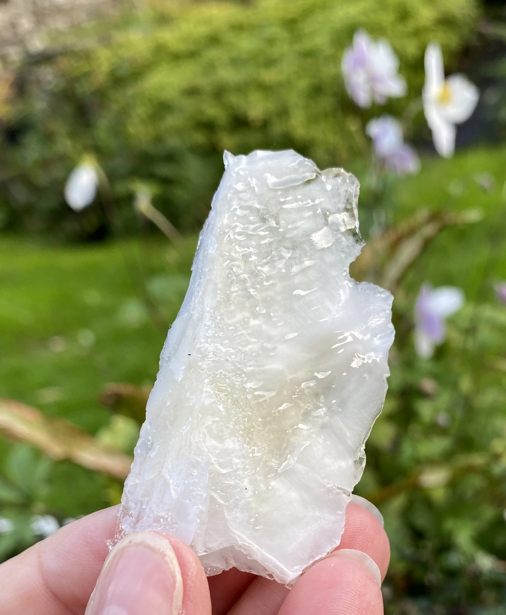 ZZ Angel Wing Calcite9.JPG
