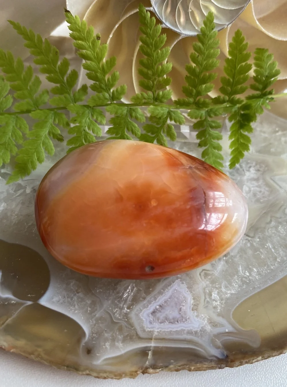 CARNELIAN1.JPG