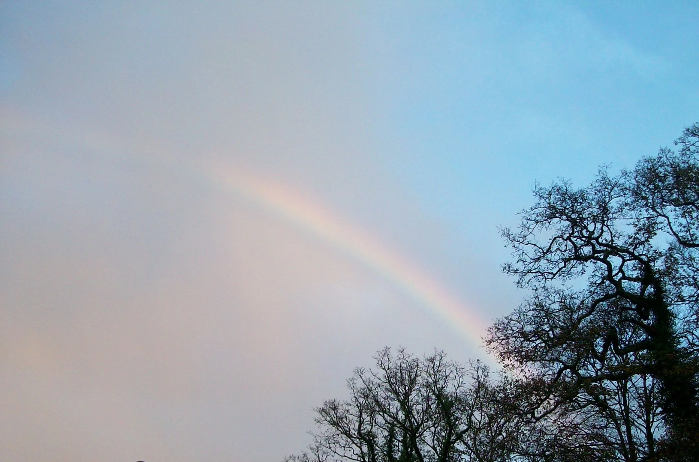 Rainbow over Morden.jpg