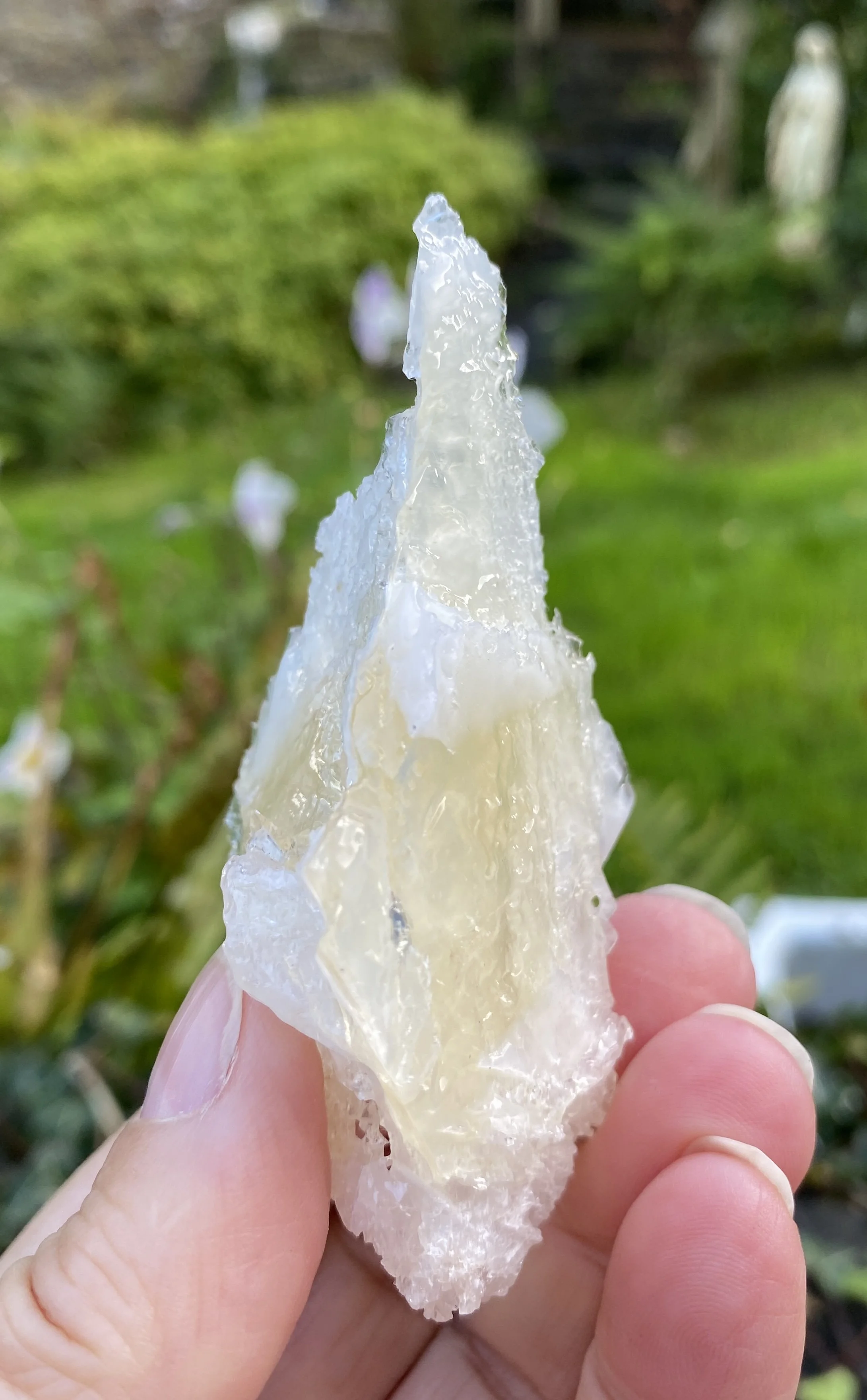 ZZ Angel Wing Calcite5.JPG