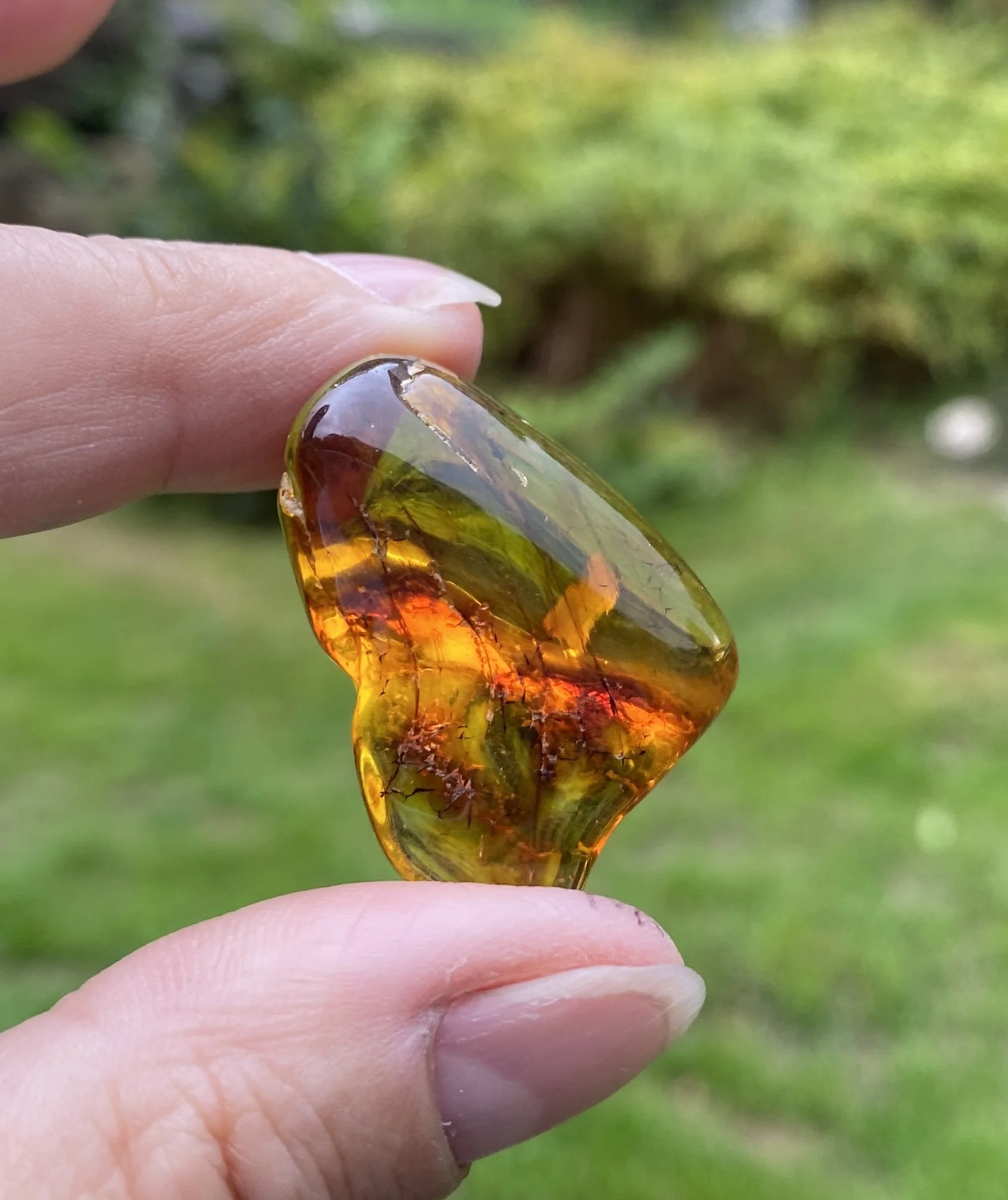 1 Amber 6G6.JPG