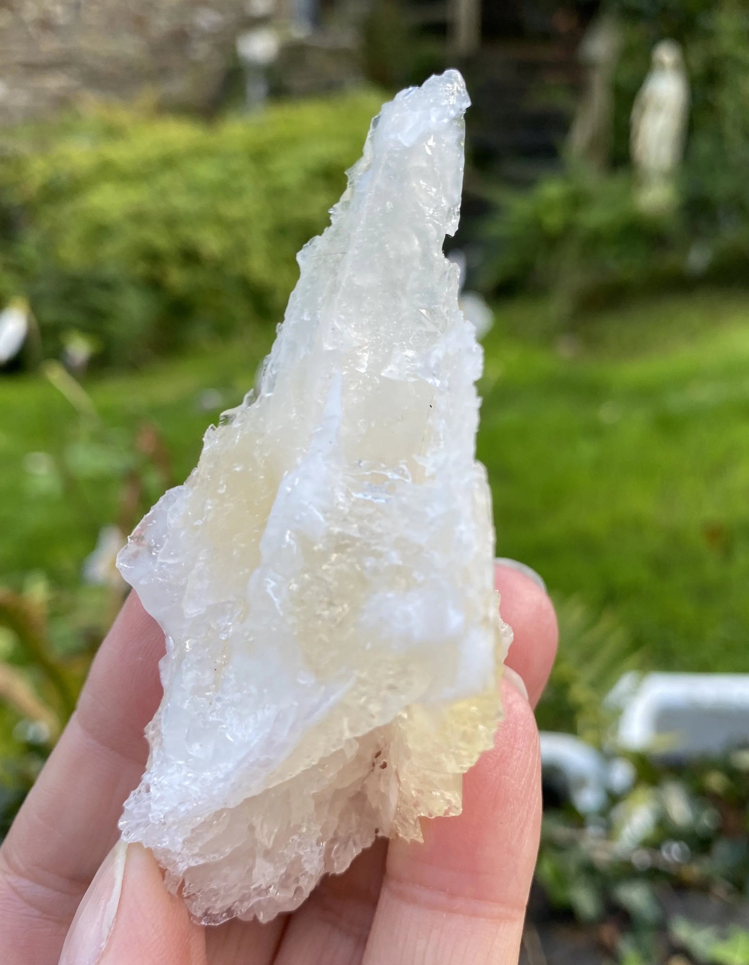 ZZ Angel Wing Calcite3.JPG