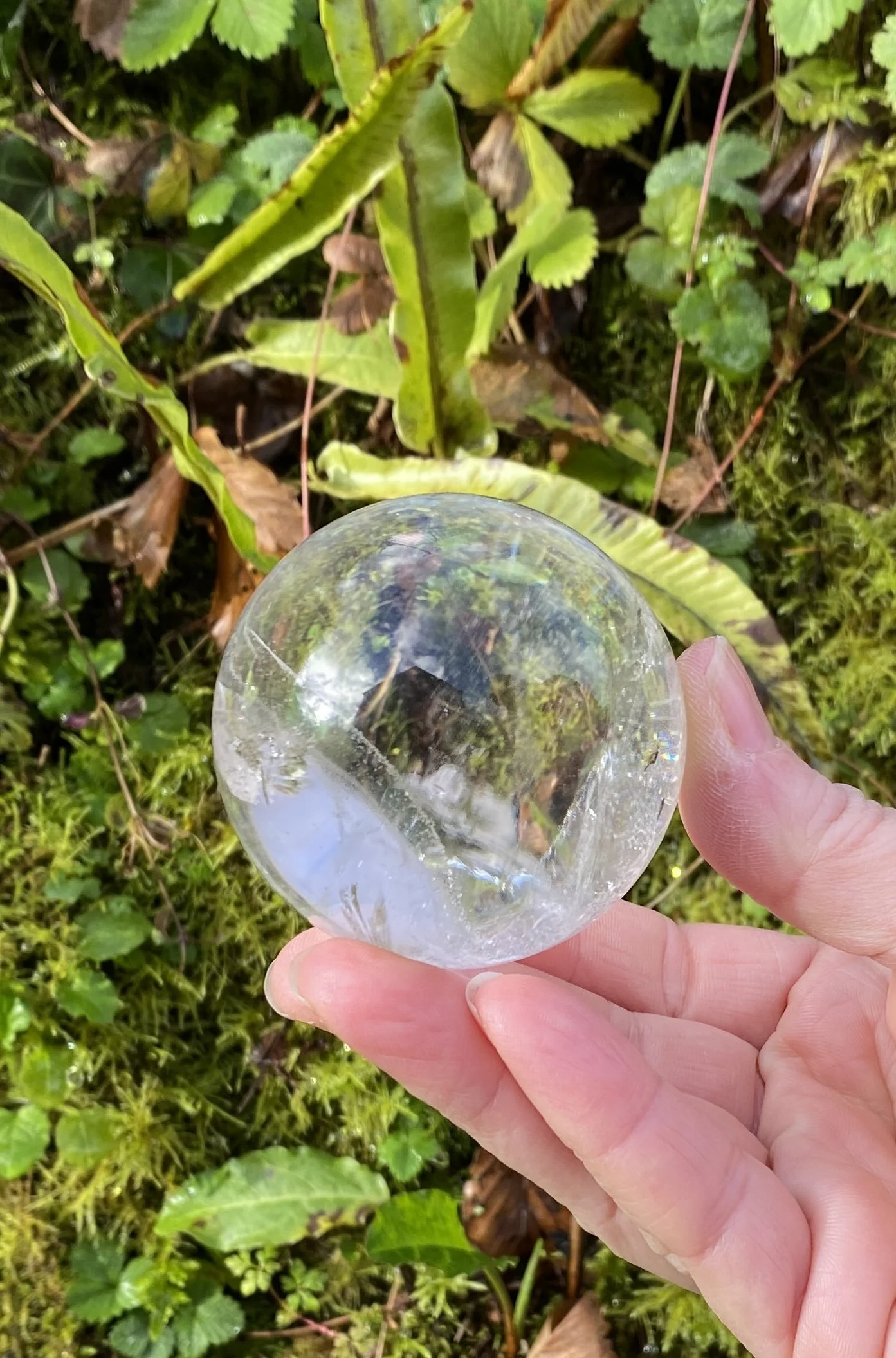 Lemurian 6A £1501.JPG