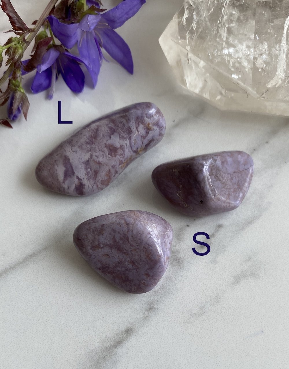 Purple Jade1 copy.jpeg