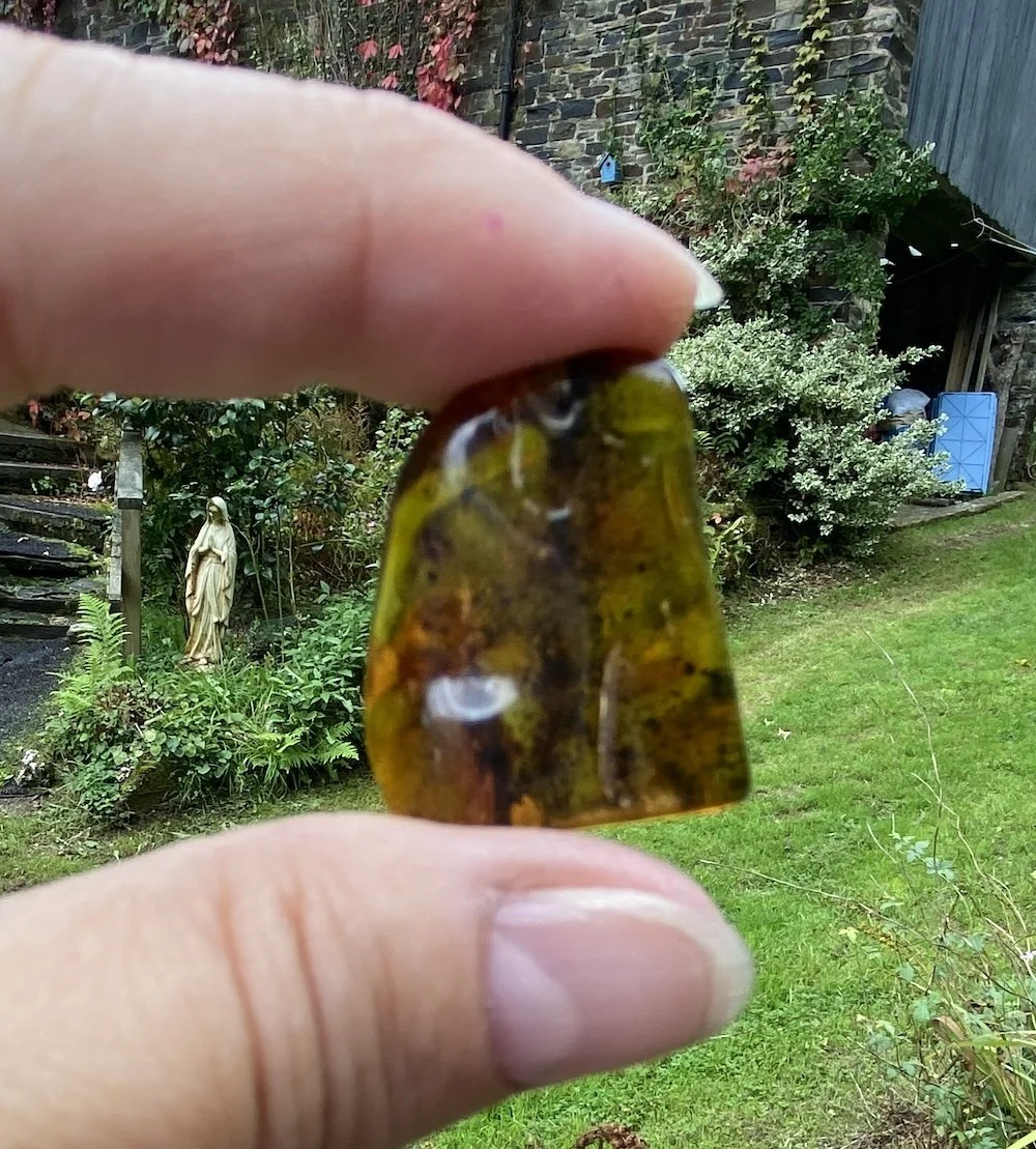 1 Amber 5.09G3.JPG