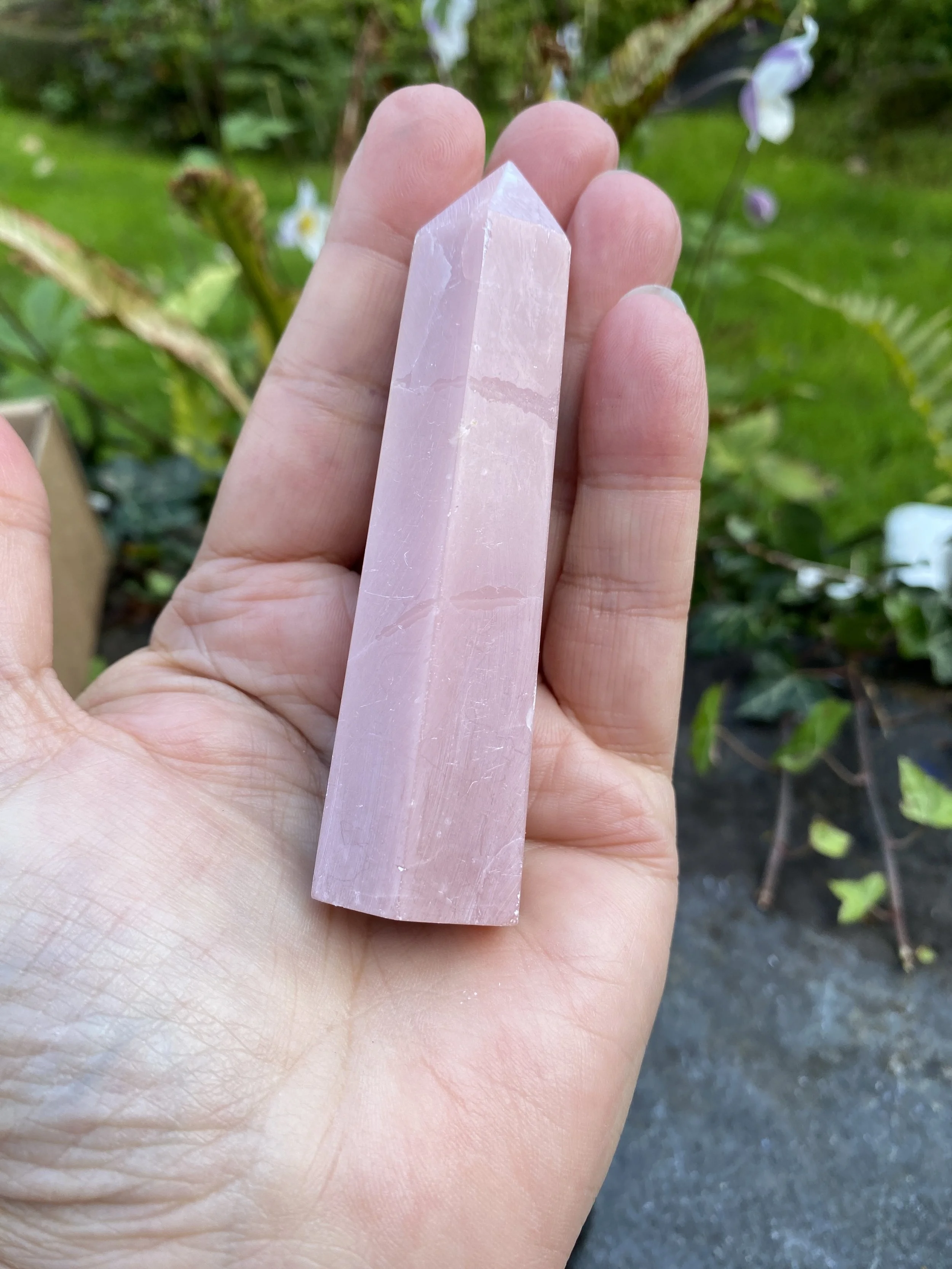 ZZ Rose Opal tower5.JPG