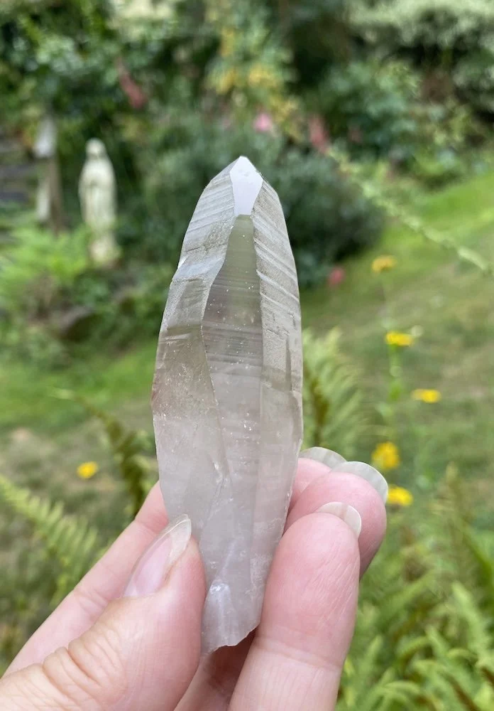 Lemurian D1 £3211.JPG