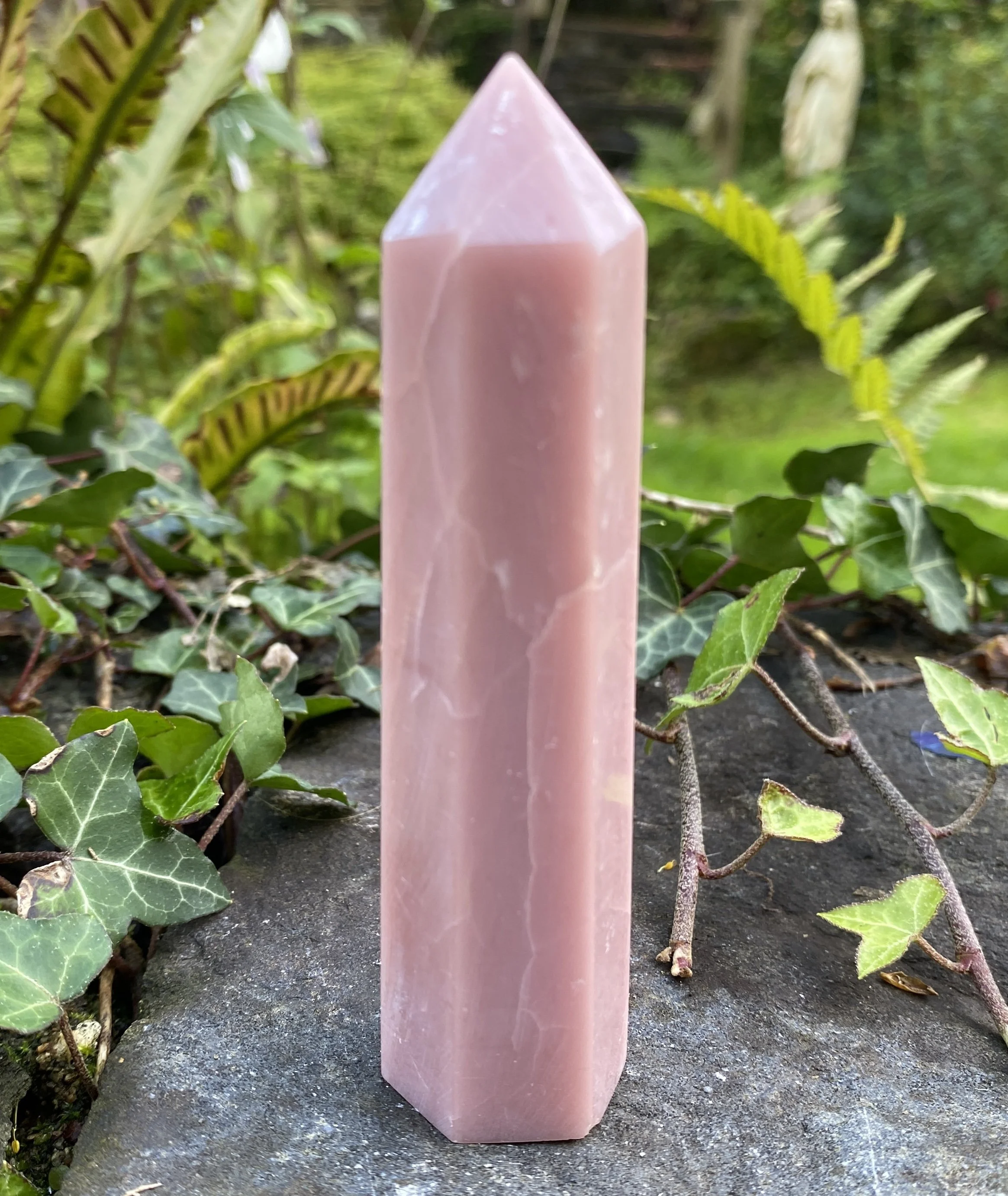 ZZ Rose Opal tower2.JPG