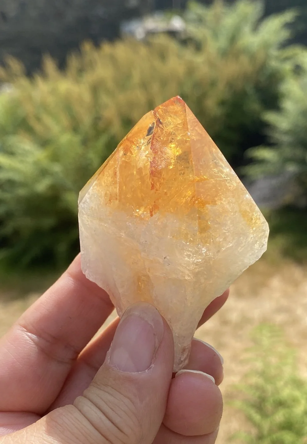 Citrine points21.JPG
