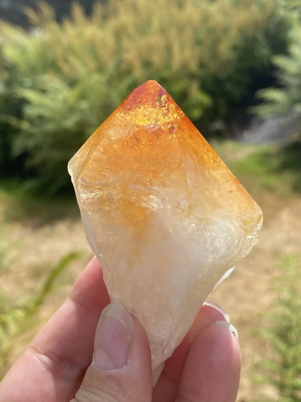 Citrine points6.JPG