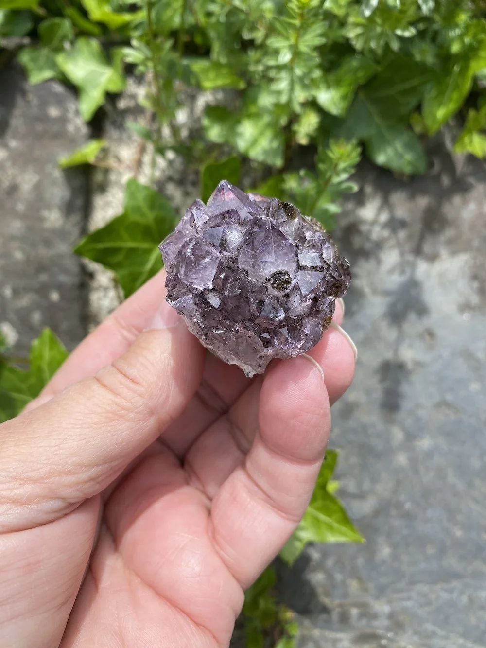 Amethyst cluster little round one7.JPG