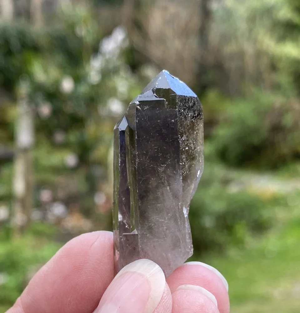 Old Smoky twenty.JPG