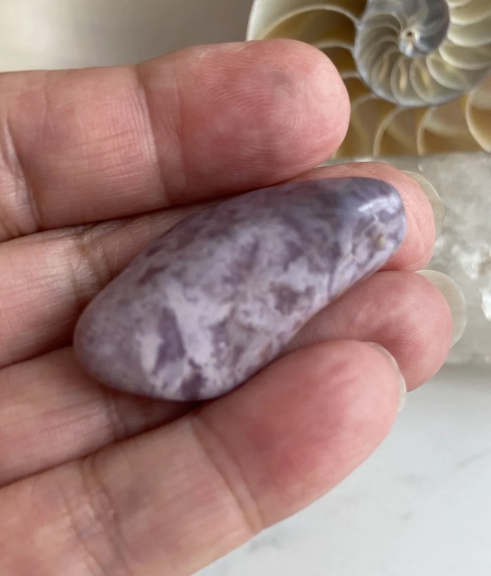 Purple Jade3.JPG