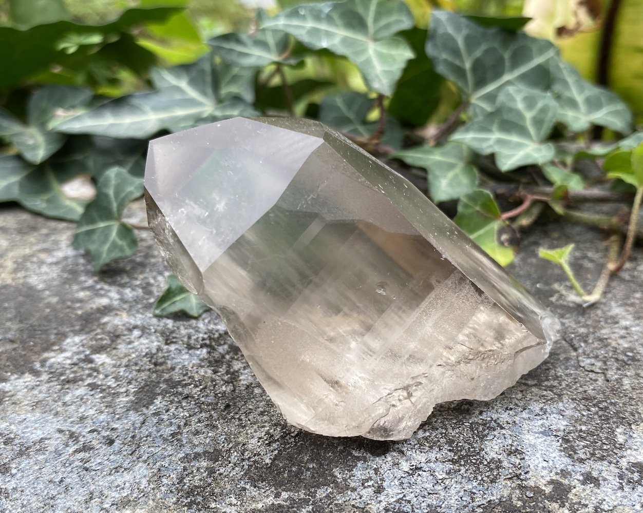 Lemurian D3 £282.JPG