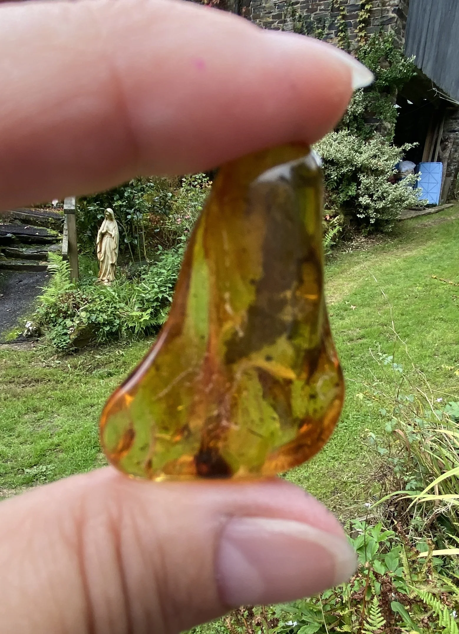 Amber 5.52g6.JPG
