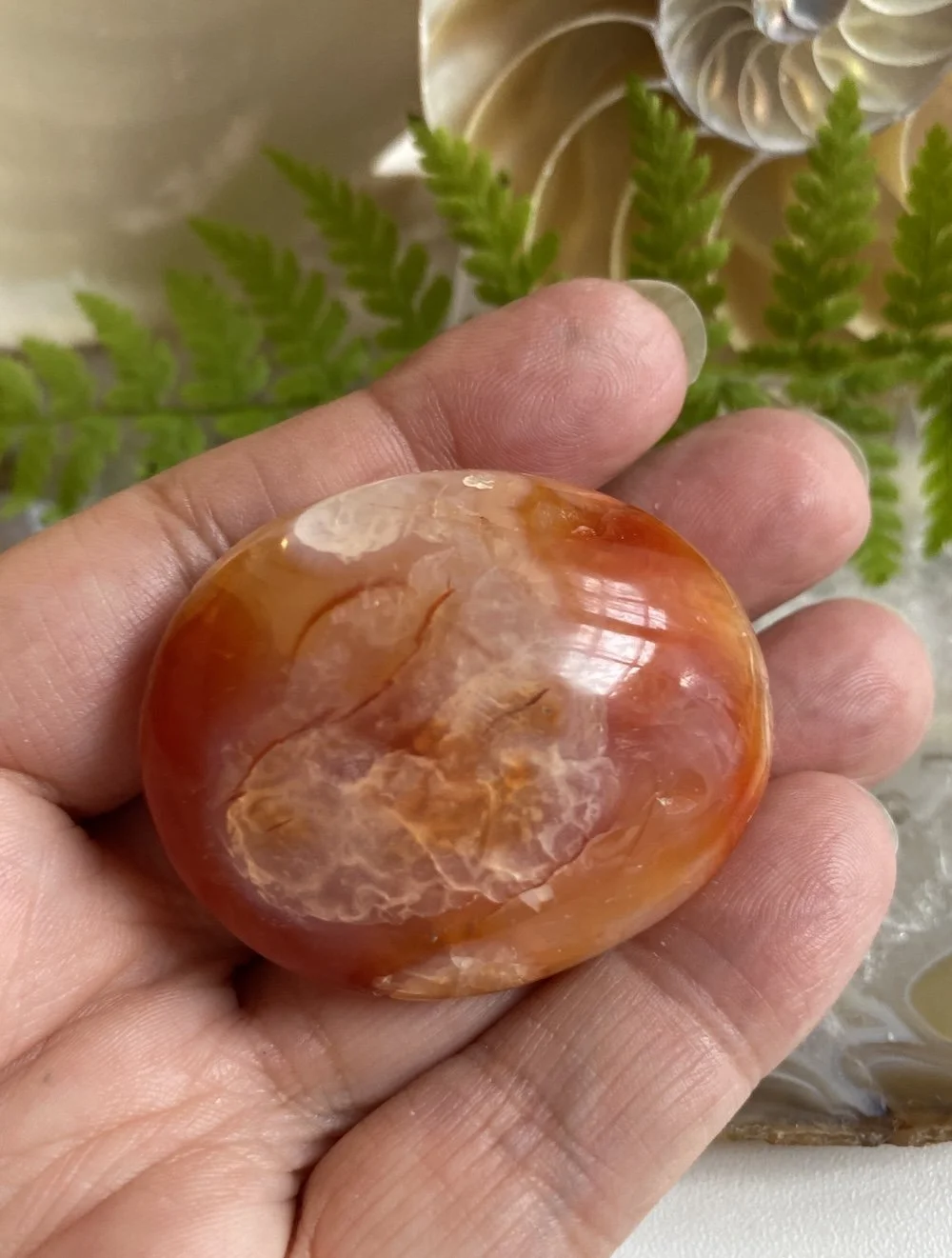 CARNELIAN15.JPG