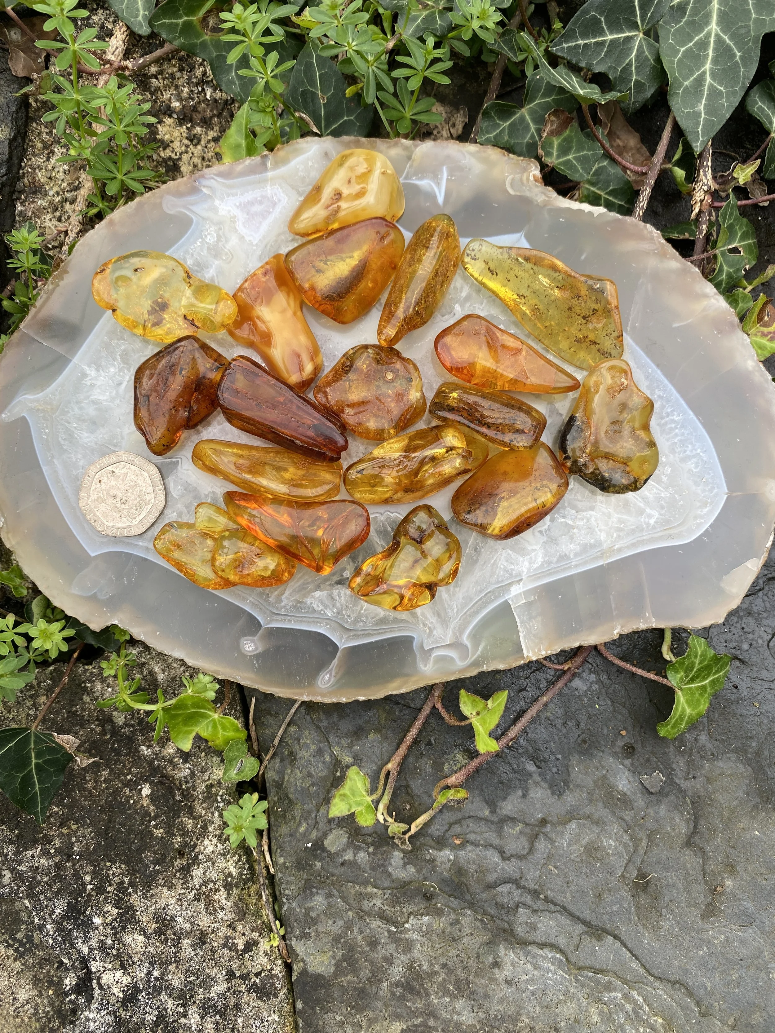 @ 1 Amber 34 piece 3-4g2.JPG