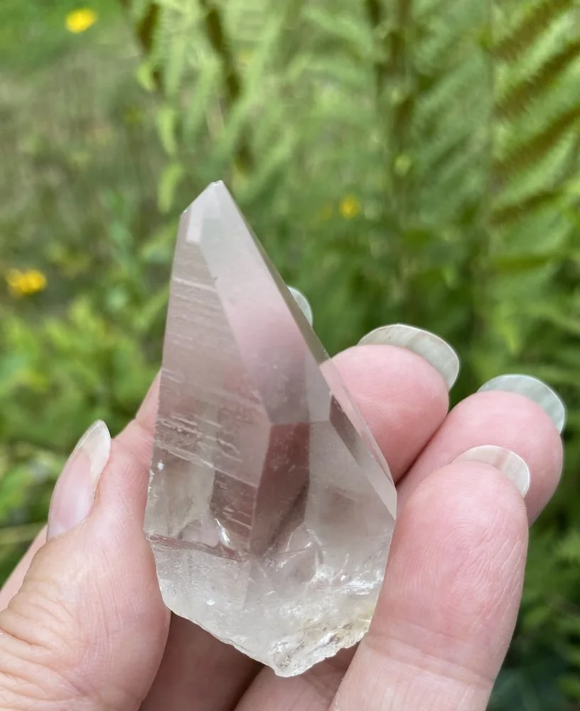 Lemurian £159.JPG