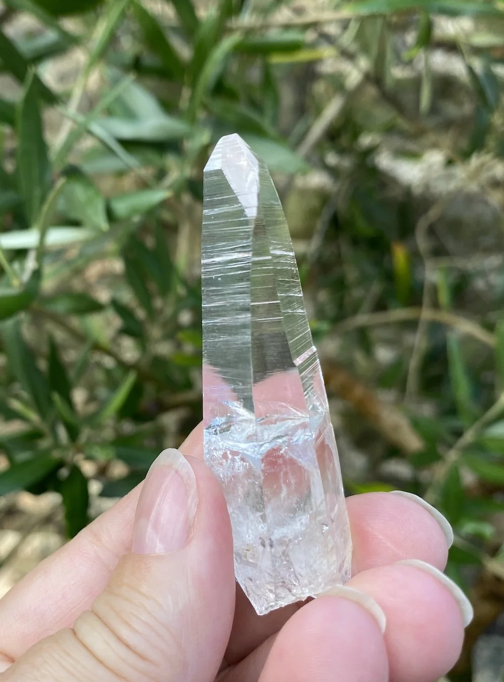 Blade of Light7.JPG