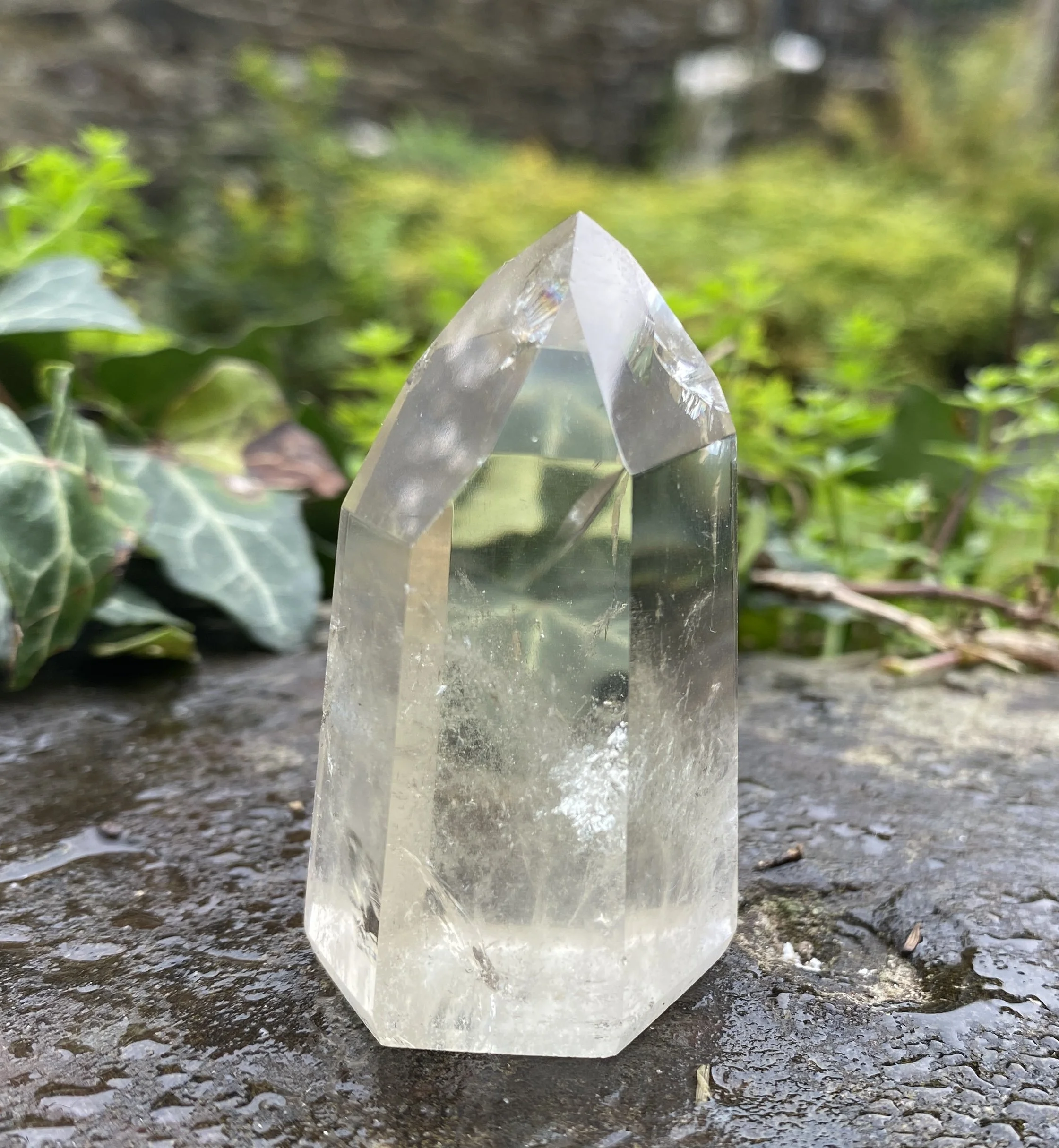 @2 Citrine standing super clear3.JPG