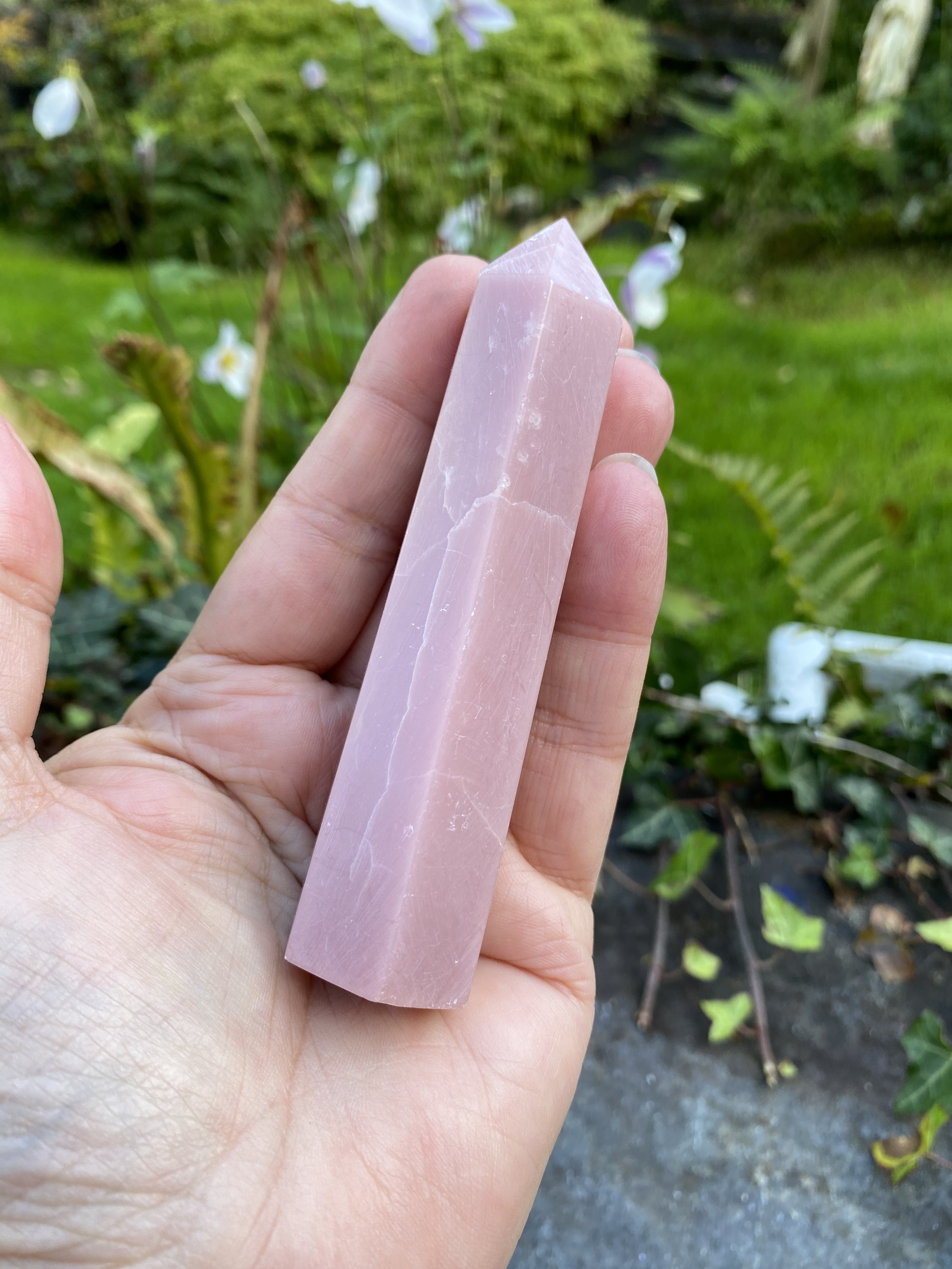 ZZ Rose Opal tower3.JPG