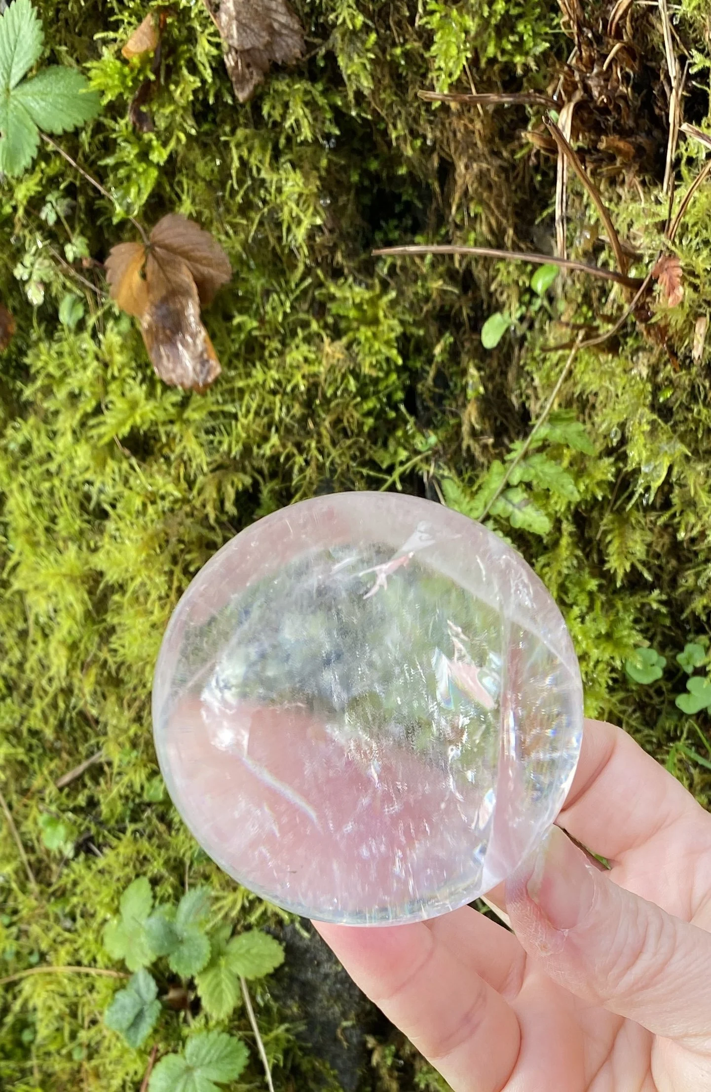 Lemurian 5A £2808.JPG