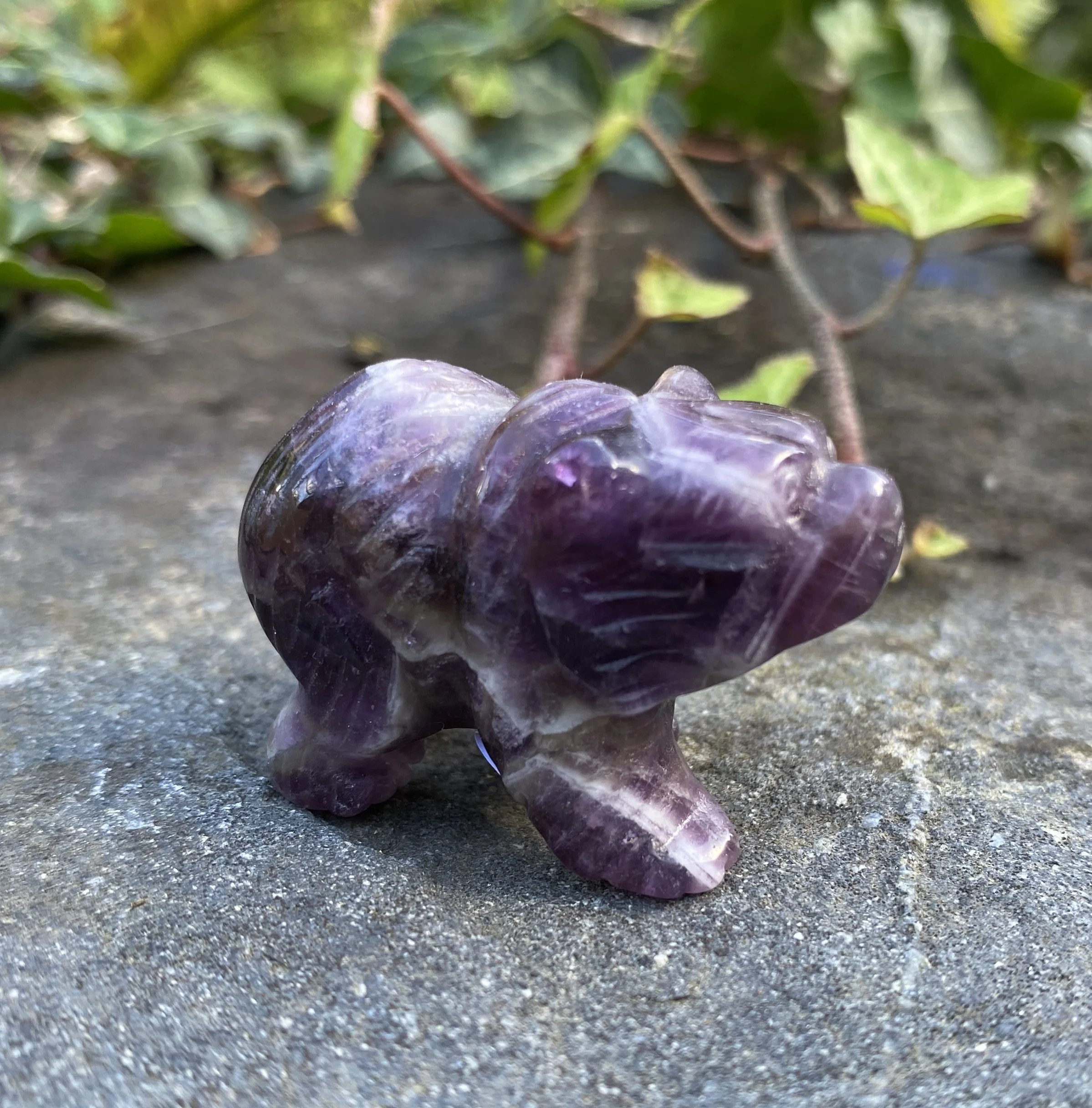 ZZ Amethyst Bear2.JPG